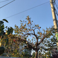 秋ですね🍂