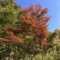 少しだけ…