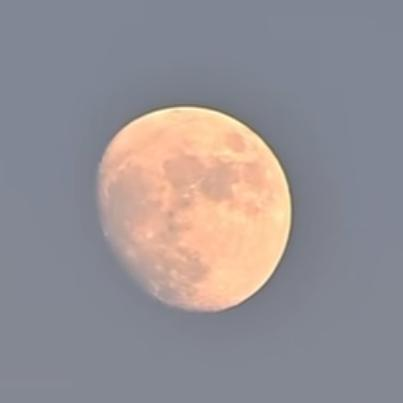 今夜　栗名月　十三夜