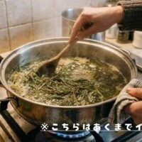 くさぁ！