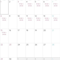 11月のスケジュール🗓