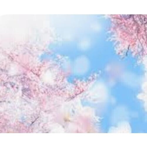 4月！新年度スタート！