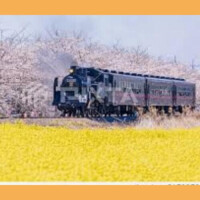 ありがとうございました！