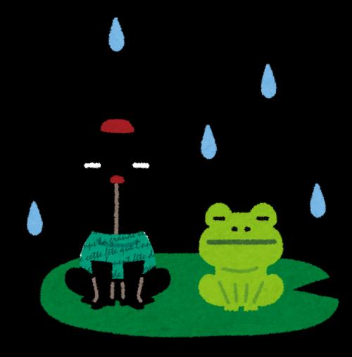 雨ですね🌧