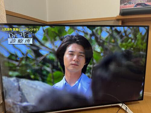 涙もろい歳。