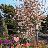 ☆はじめての…☆