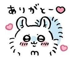 💚本日のお礼°ʚ✉ɞ°