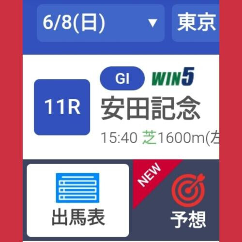 安田記念なのにありがとうございました！