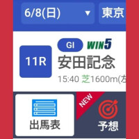 安田記念なのにありがとうございました！