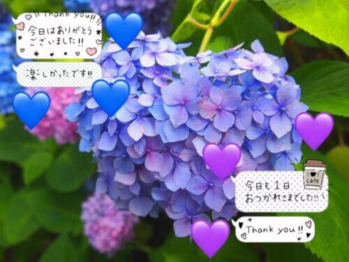 🩵💜感謝໒꒱and(ᴗ͈ ᴗ͈ ꢏ[ お知らせ ]ꢖ