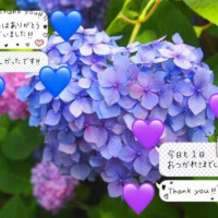 まつり