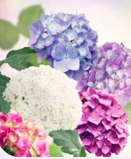 何気に蒸す朝