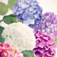 何気に蒸す朝