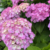 ご無沙汰しています。