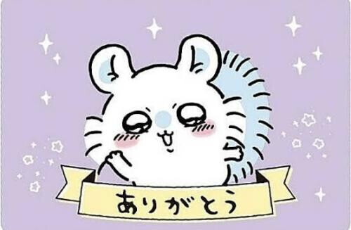 ‎🤍(⸝⸝⸝ᵒ̴̶̷ - ᵒ̴̶̷⸝⸝⸝)ｷｭﾝな日🫶