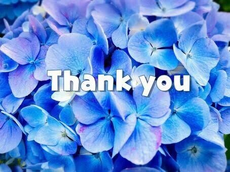 💐感謝💌🤍໒꒱