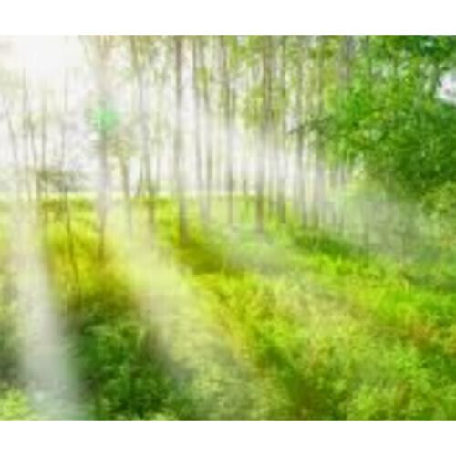 お天気大丈夫でしたか？？