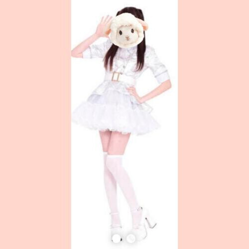 画像はイメージです