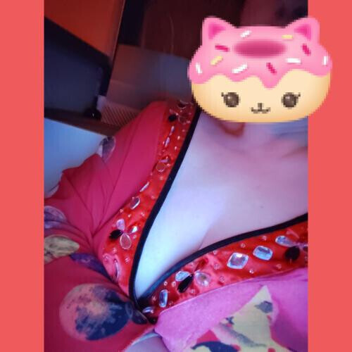 同じ内容パターン違いの写メ日記