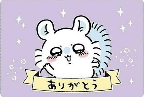 ※画像は【ｲﾒｰｼﾞ】です︎🙌🏻