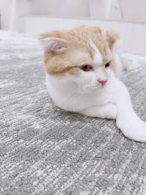 💛🈵満枠完売ありがとうございましたっ🈵💛