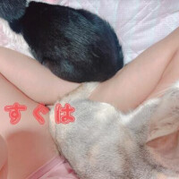 すぐは