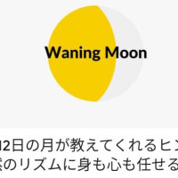 ねね