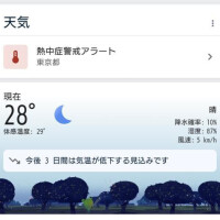 ちさと