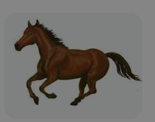 足◯が生んだ馬皇子！絆
