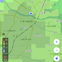 ちさと