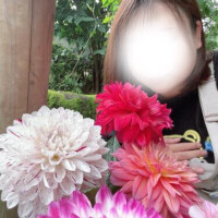 💛まある書いてちょん╭Ꙭ╮まある書いてちょん╭Ꙭ╮お豆に根が出て〜💛
