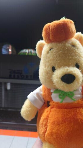 秋の夜長に耽る想い🍁🍂(日記ではない)