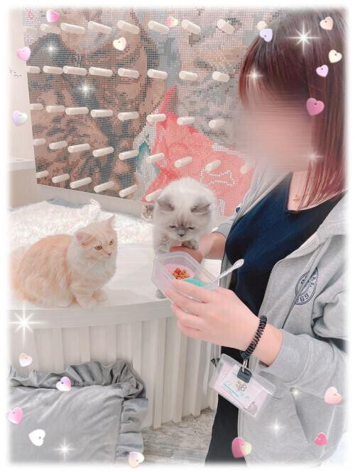 💛🔞ウルトラ健康性活🔞💛