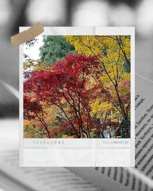 ♡ありがとう♡