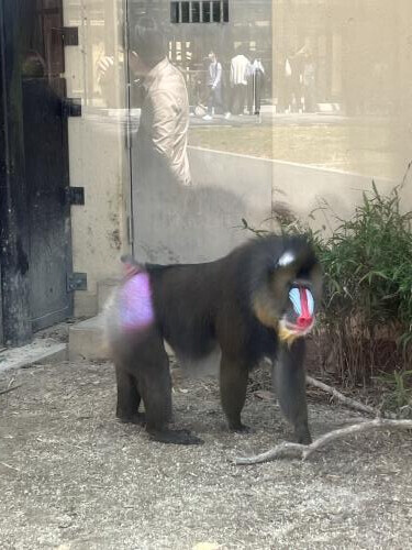 💛早退します💛