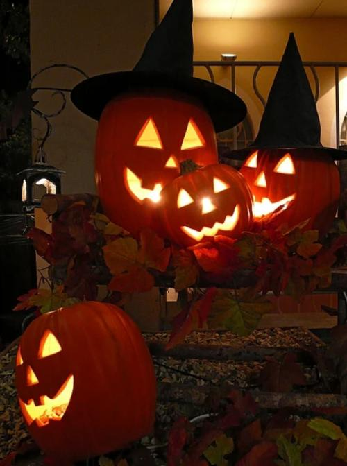 プリキュア〜〜〜