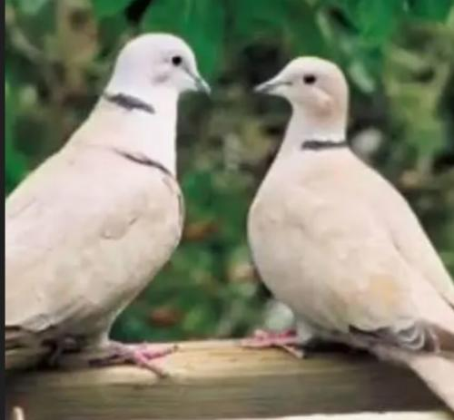 おめでとうございます！茨城県！