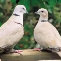 おめでとうございます！茨城県！