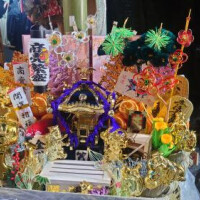 昨日のお散歩今夜の出勤