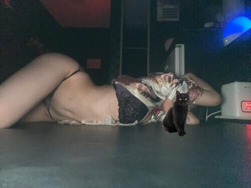 本日もあざました🐝⋆゜