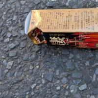 桜町らしい画像