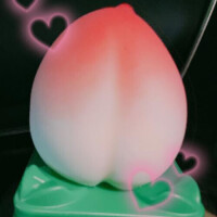 ごめんなさい(´･ω･`)