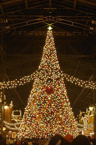 昨日雨のディズニーランドで今夜はラストまで華女