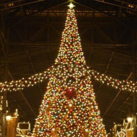 昨日雨のディズニーランドで今夜はラストまで華女