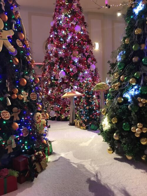 🤍明日から宜しくです🤍