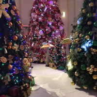 🤍明日から宜しくです🤍