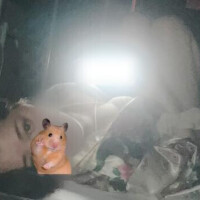 出勤しました🌸