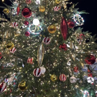 昨日楽しかった🤗