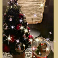 アンケート感謝！