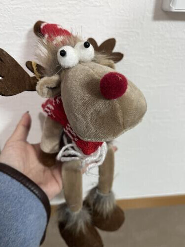 慌てて出したクリスマスの飾り。